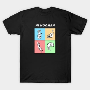 Hi Hooman T-Shirt